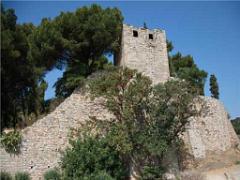 183 HYERES ET SES PALMIERS D03_000057